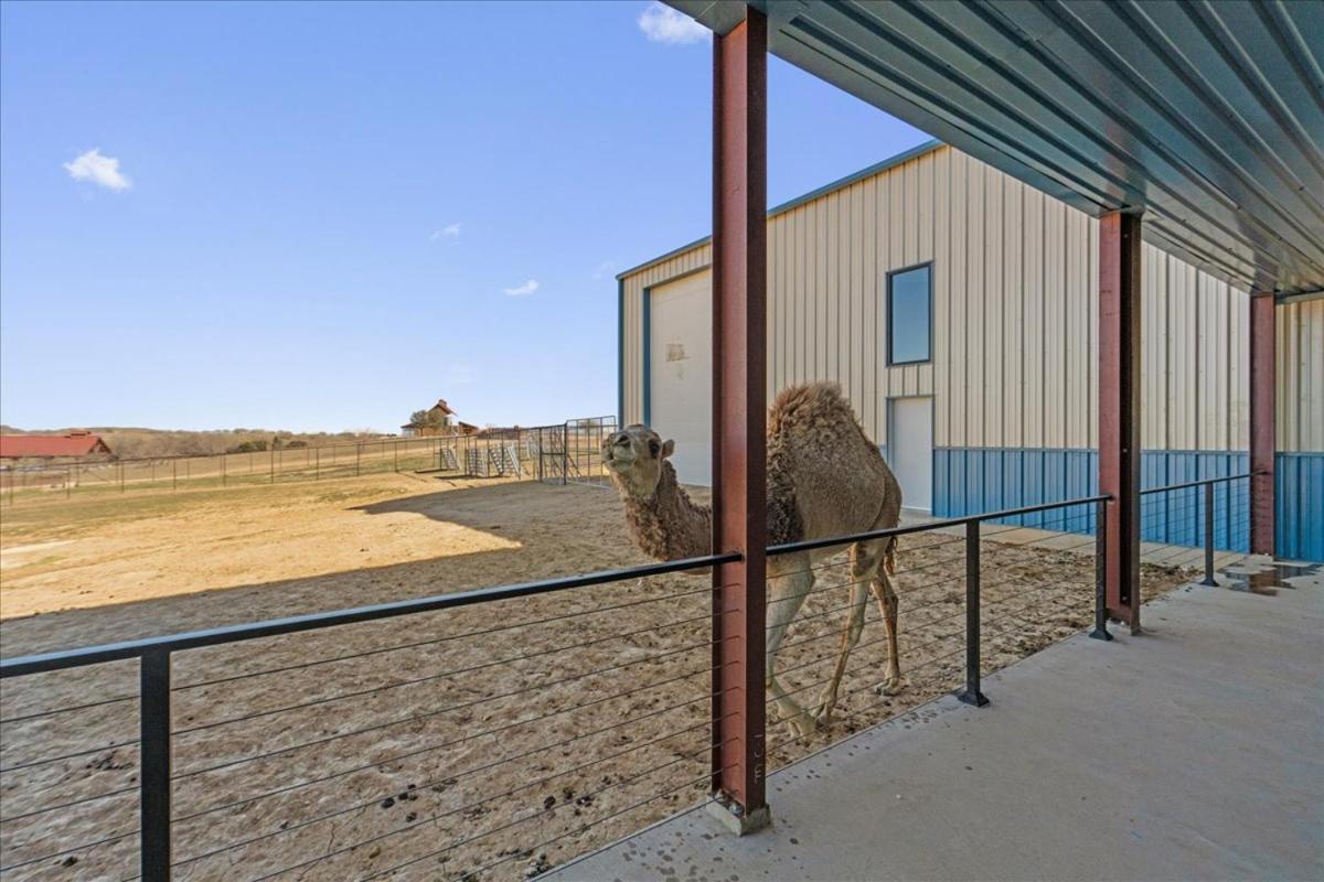 Blue Hills Ranch 호텔 McGregor 외부 사진